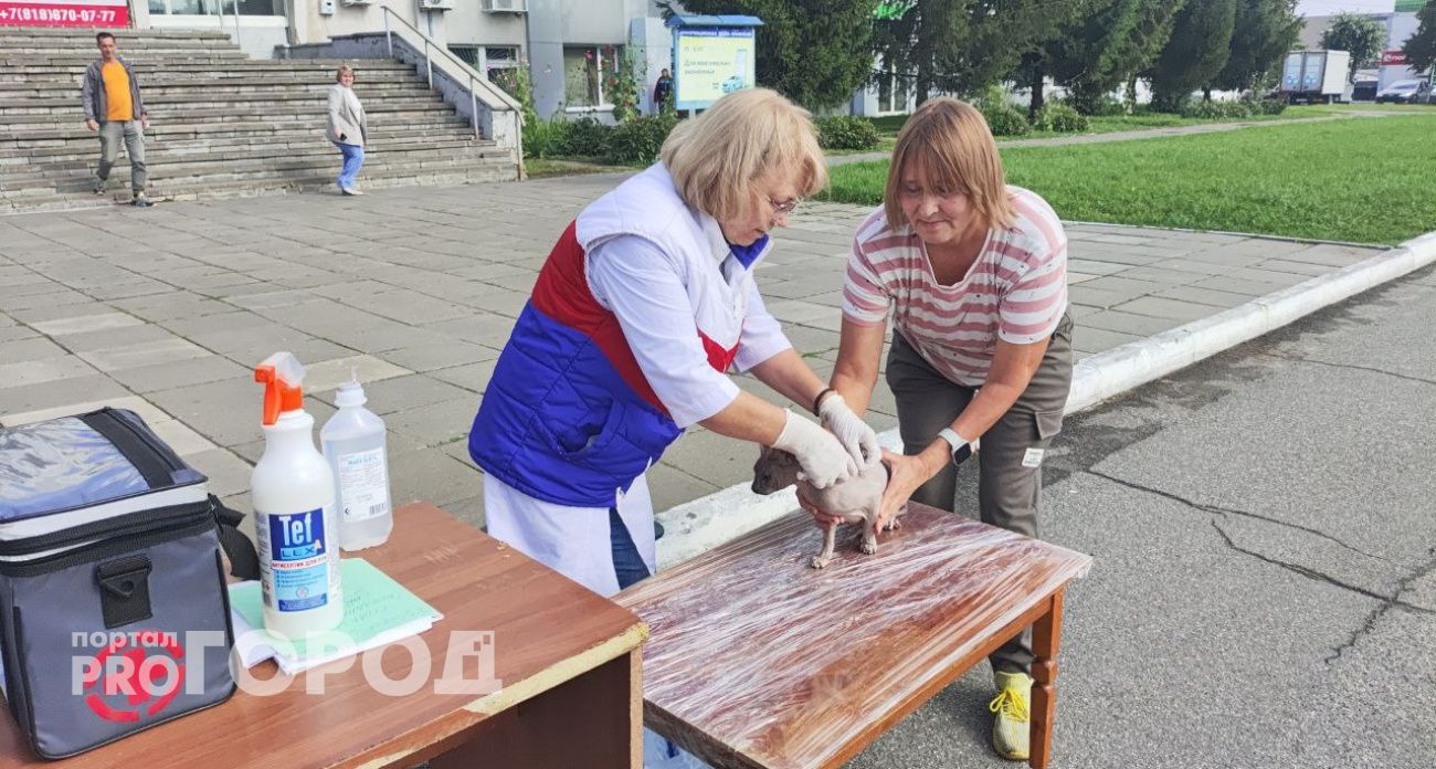 В Новочебосарске в выездном пункте проводят бесплатную вакцинацию животных против бешенства