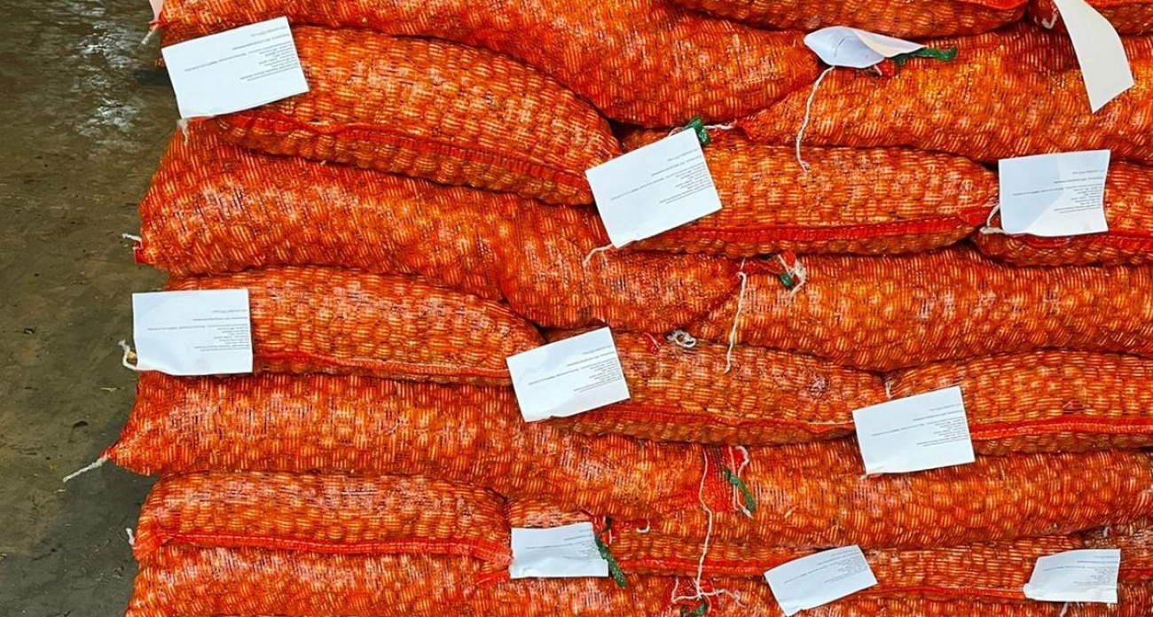 Чувашия экспортировала полторы тысячи тонн лука-севка в шесть стран