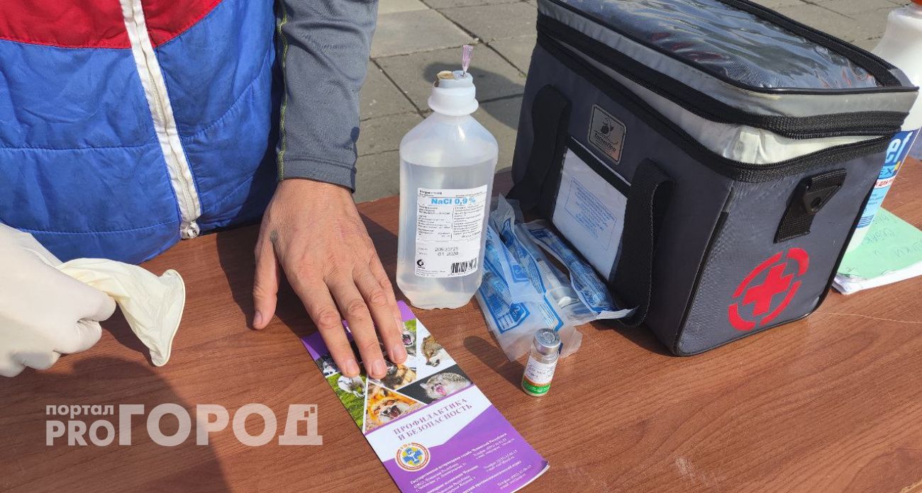Новочебоксарцы могут бесплатно привить от бешенства своих домашних любимцев в ветеринарном мобильном пункте