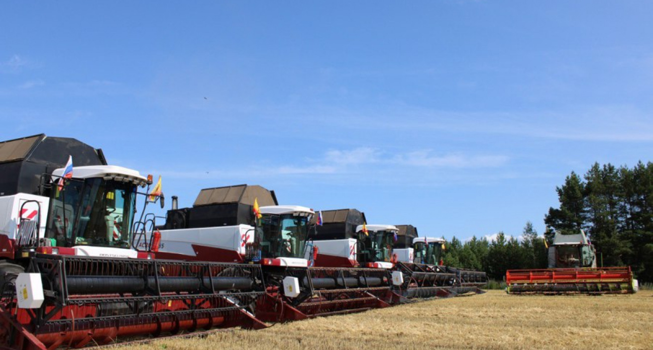 Несмотря на дожди, в Чувашии собрали сотни тысяч тонн зерна