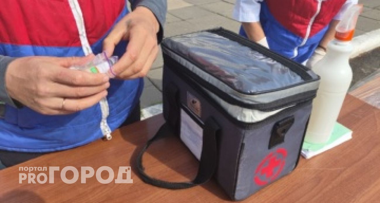 В Новочебоксарске продолжают проводить выездную бесплатную вакцинацию домашних кошек и собак