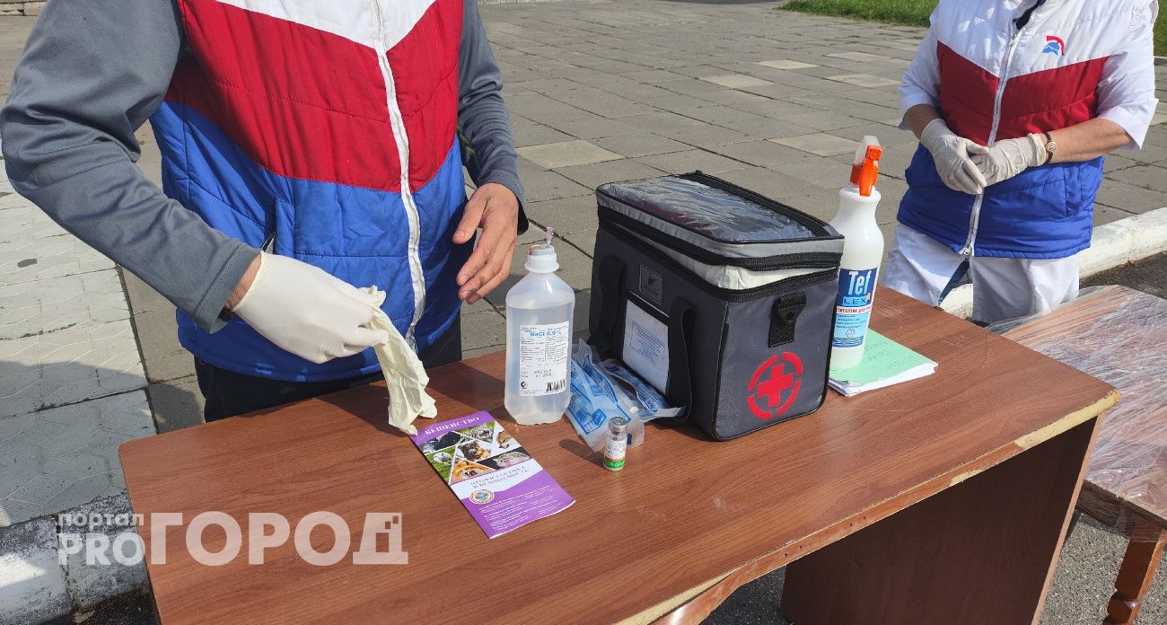 В Новочебоксарске проводится выездная бесплатная вакцинация животных от бешенства