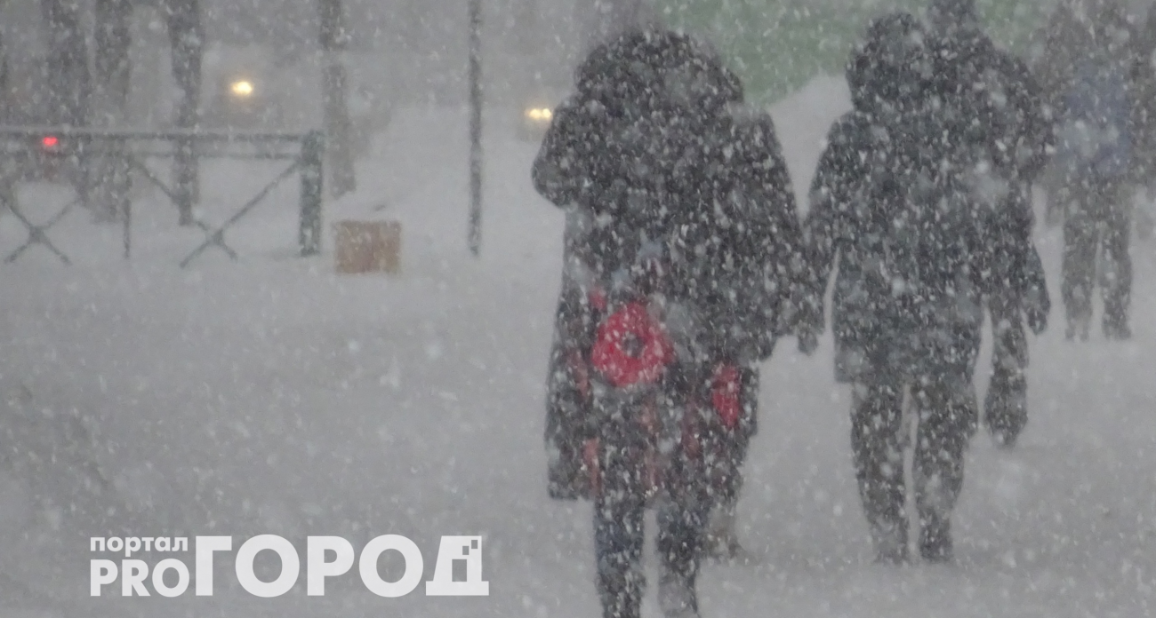 Ученые предупредили о конце суровых зим в России