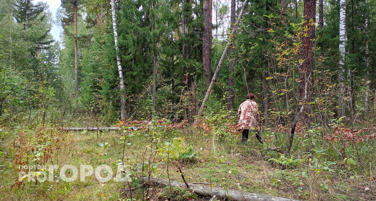 В Чувашии объявлен желтый уровень пожарной опасности в лесах