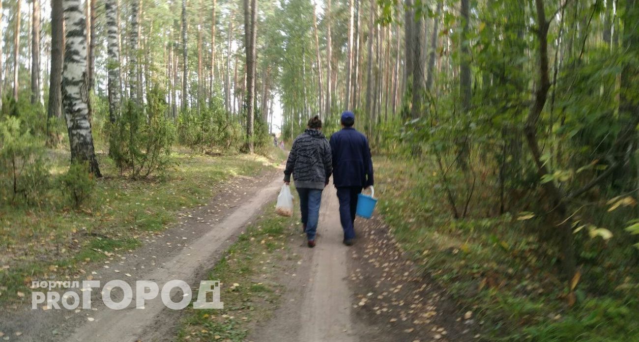 Дар небес: Володина назвала три знака зодиака, которых с 23 сентября ангел любви укроет крылом