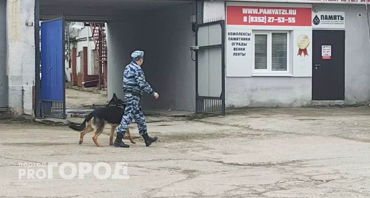 Новочебоксарск: нацгвардейцы пресекли преступления и борьба за финансирование ремонта дорог - главные новости за 23 сентября