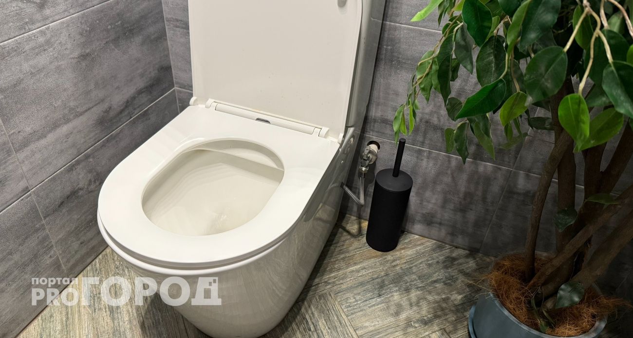 С легкостью отмывает даже давнишние ржавые потеки в унитазе: гремучая смесь для чистоты всего из трех ингредиентов