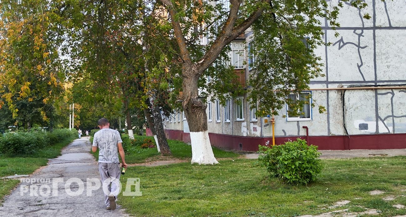 Мужчине из Новочебоксарска позволили выбрать между уголовкой и выплатой долга по алиментам