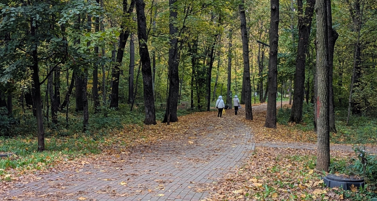 В Чувашии 1 октября ожидается переменная облачность без дождя