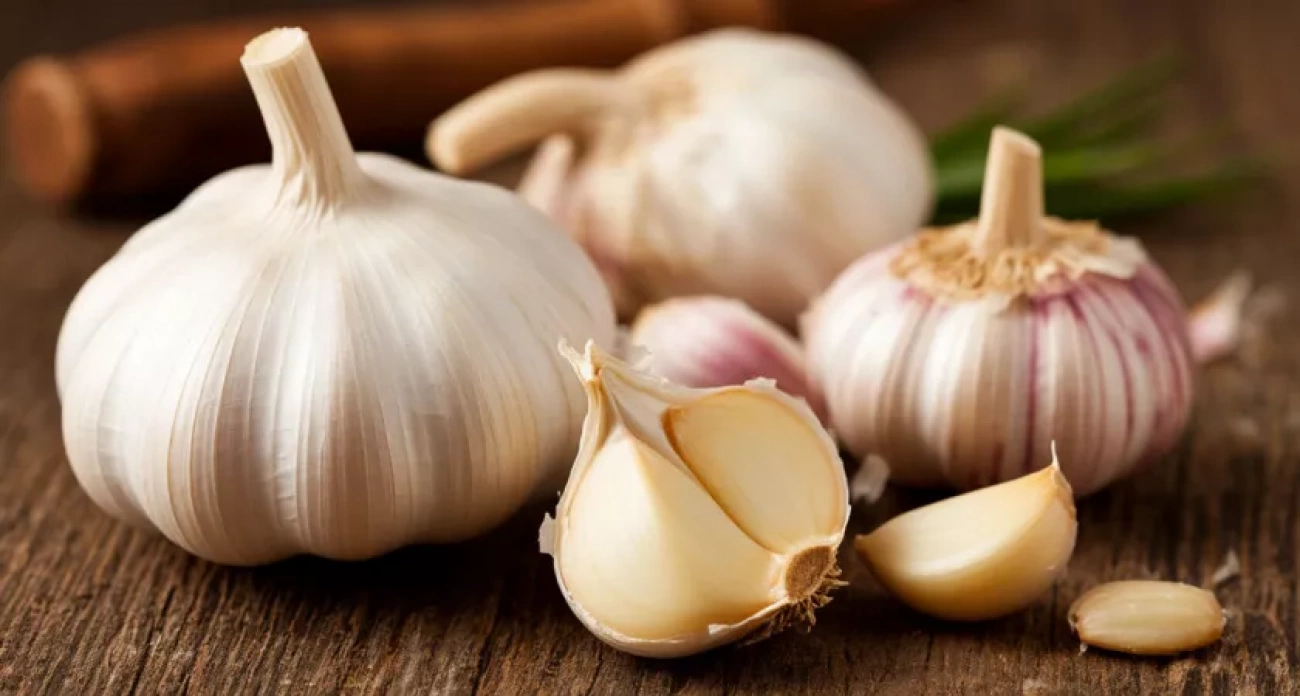 Зола чуть не погубила мой чеснок: теперь рассыпаю стакан по снегу и собираю на 30% больше