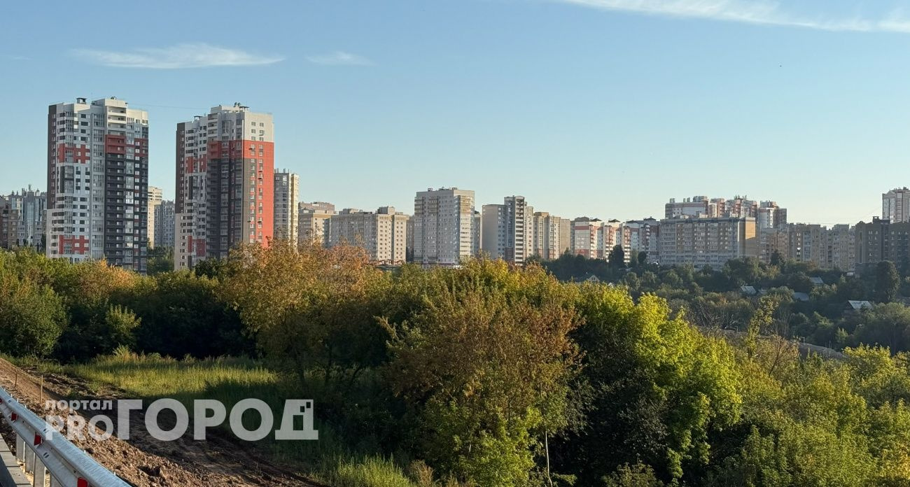 Воскресенье принесет теплую погоду без дождей