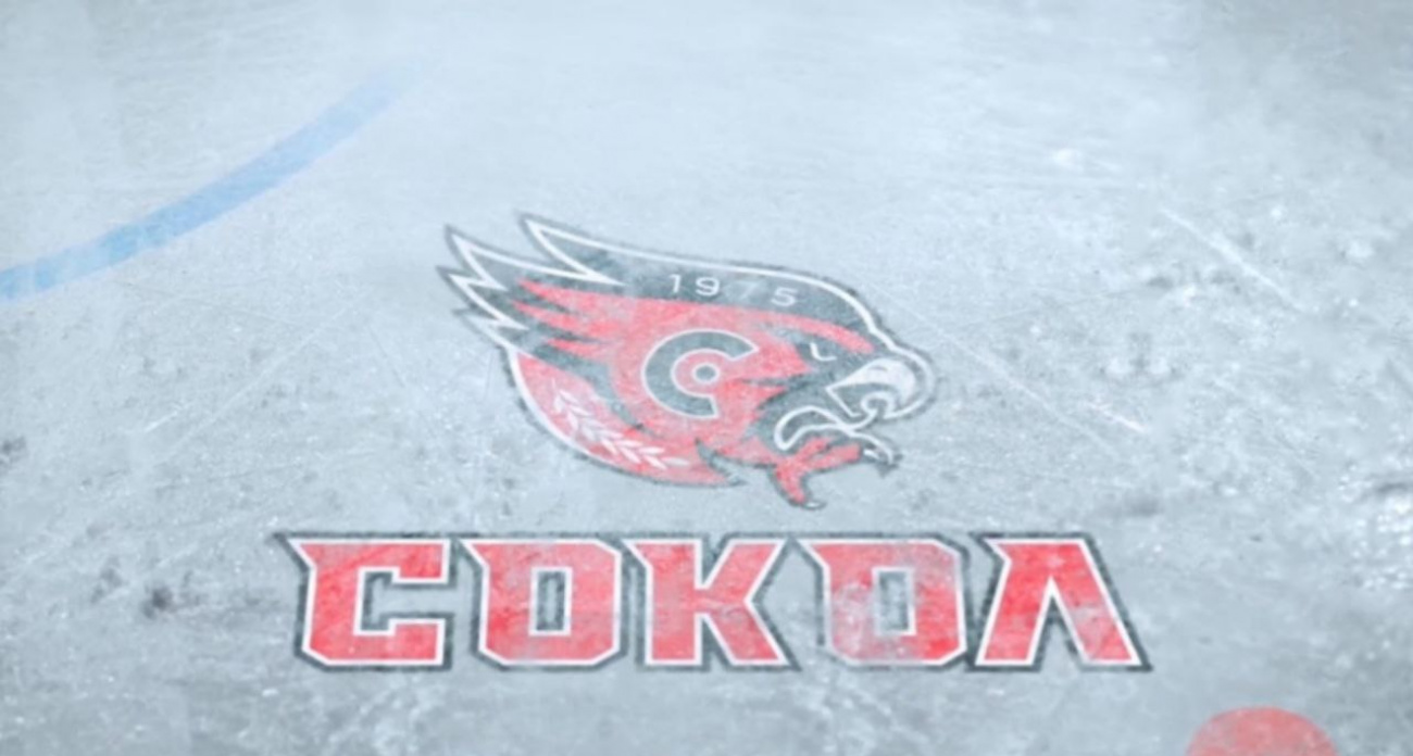 Новочебоксарский "Сокол" входит в свой юбилейный 50-й сезон с новым лого