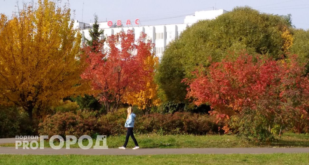 В Чувашии 8 октября ожидается сухая погода с температурой до +17°C