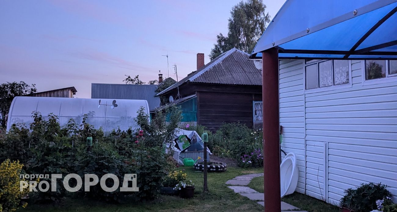 Дачники схватились за головы: по новым законам за огурцы на грядке можно схлопотать немалый штраф