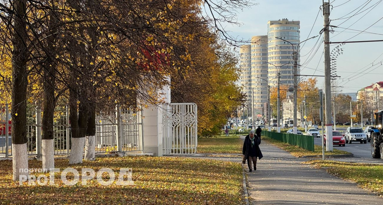 В Чувашии заканчивается золотая осень: последний солнечный день в субботу