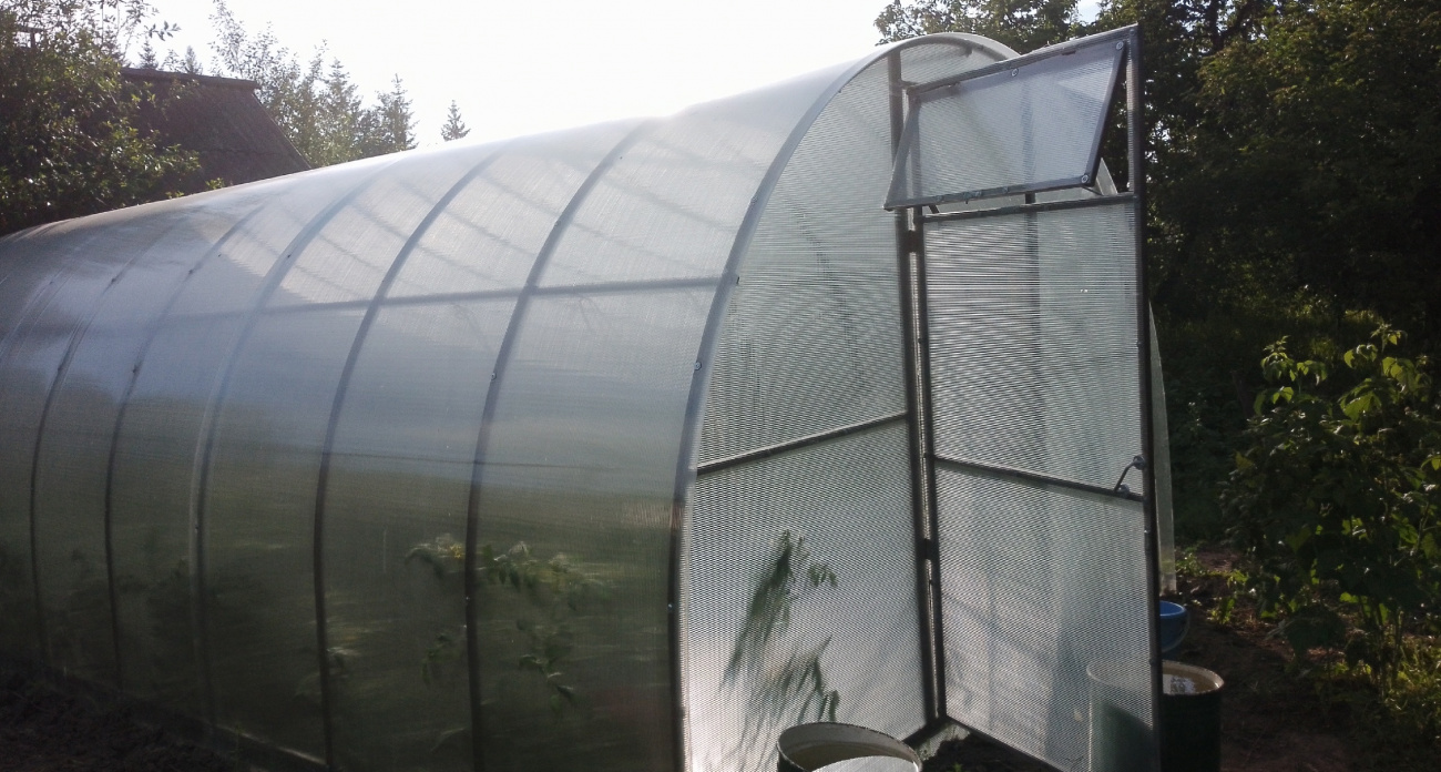 Агроном из Тимирязевки раскрыла формулу: два простых порошка превращают год компостирования в месяцы — даже кости станут землёй