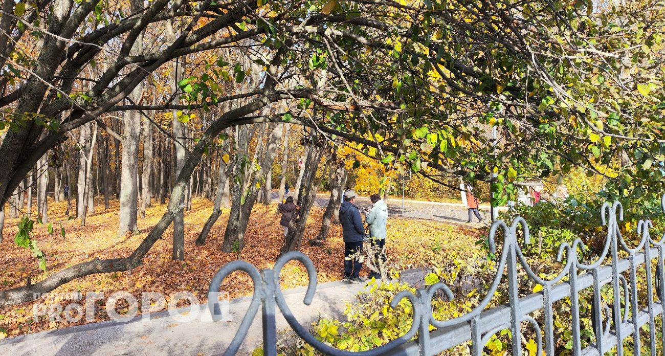 В Чувашии 15 октября ожидается прохладная погода с дождем