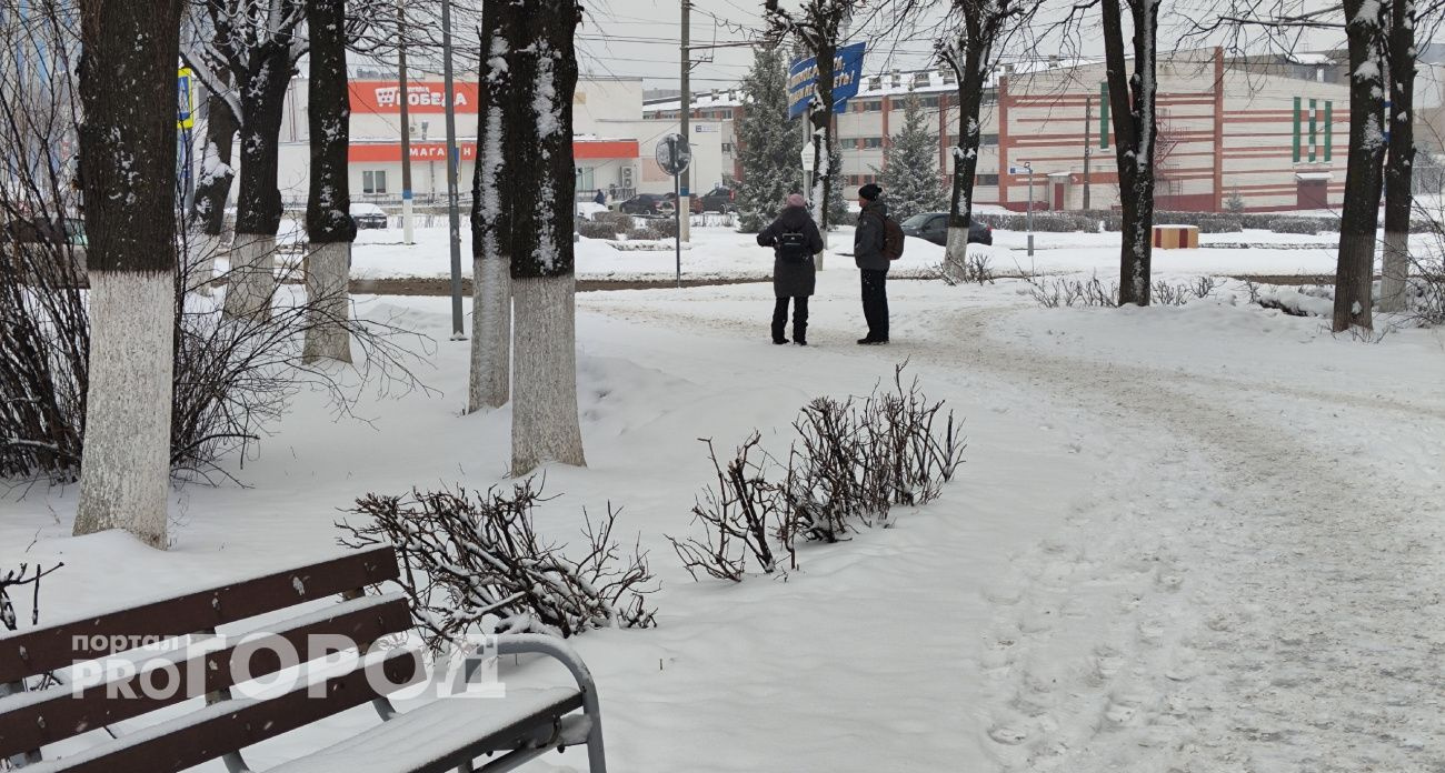 Синоптики рассказали о предстоящей зиме в Чувашии