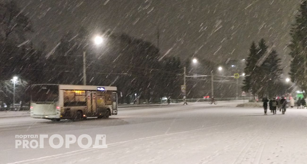 Водителя маршрутки, насмерть сбившего пенсионерку из Новочебоксарска, осудили