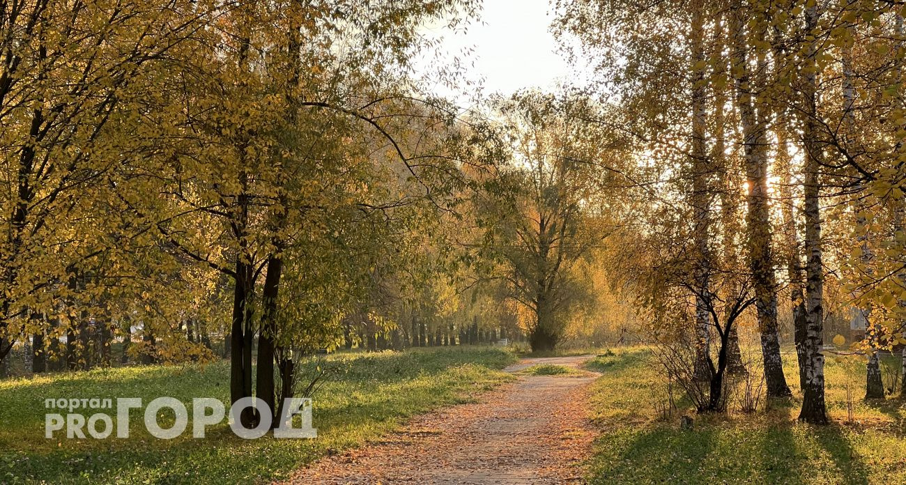 В Чувашии 17 октября ожидается прохладная погода с небольшими дождями