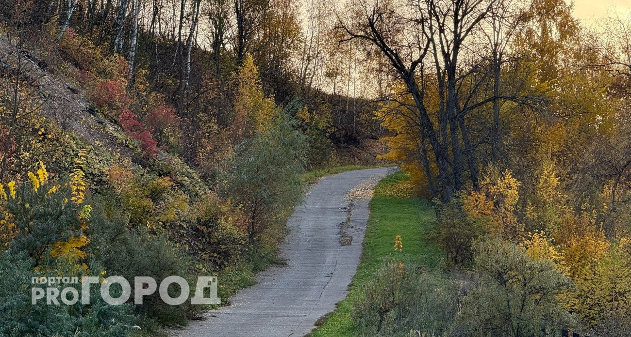 В Чувашии объявлен желтый уровень пожарной опасности в лесах