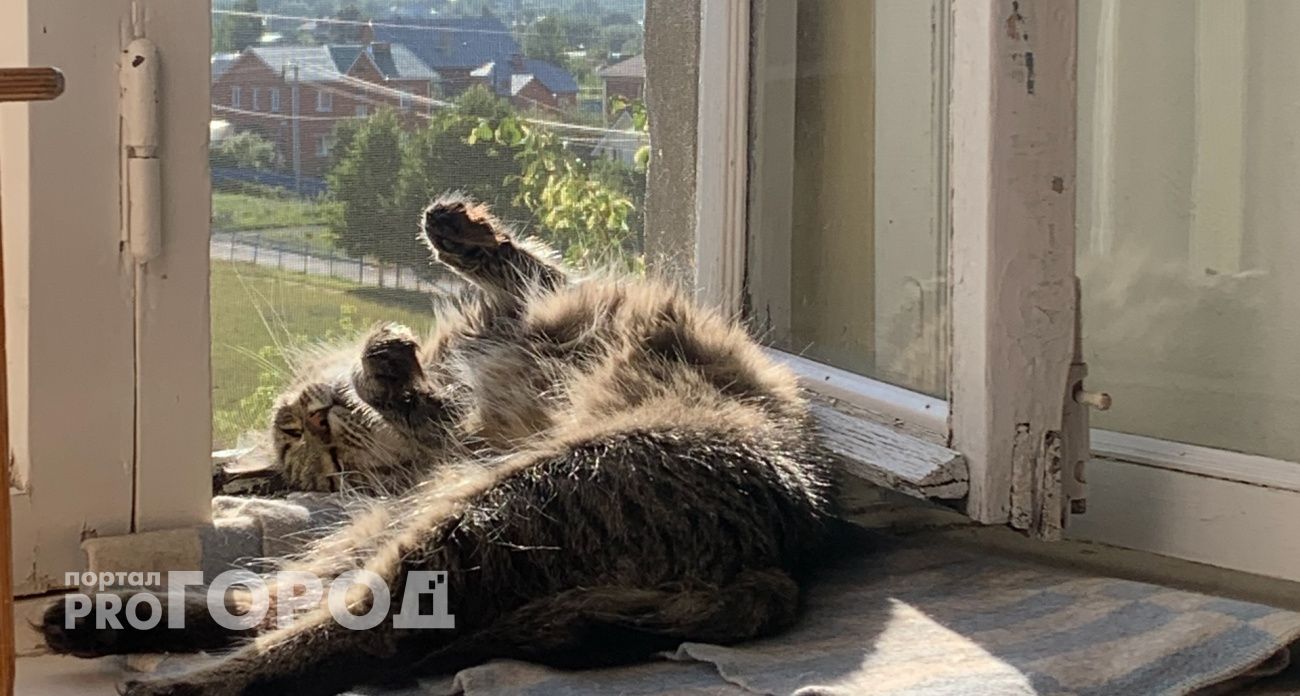 Успешные люди не хватают телефон сразу после пробуждения: 5 привычек, которые изменят жизнь