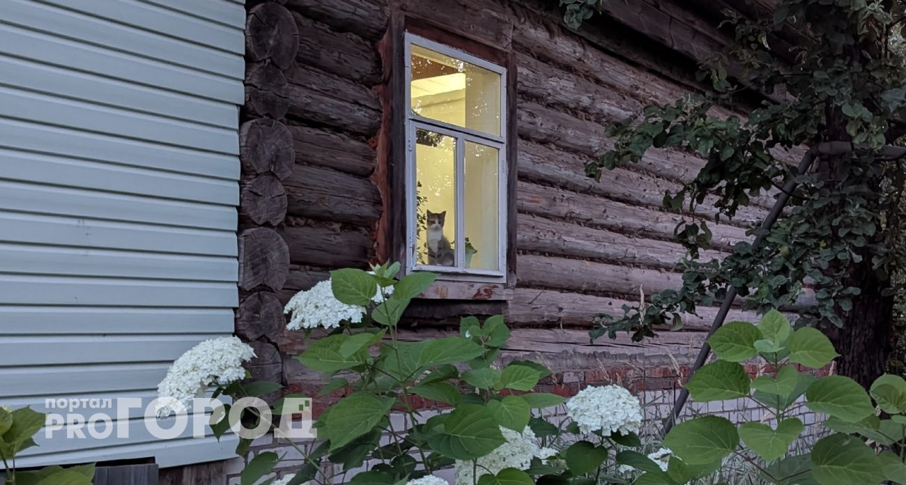 Самый дешевый дом в России продают в Чувашии за 110 тысяч рублей