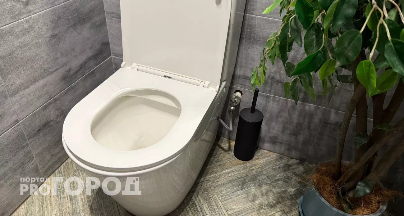 Рыжие подтеки в унитазе исчезают за 10 минут: копеечное средство, которое заменяет всю дорогую химию 