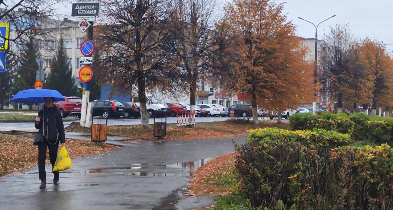 В Чувашии 22 октября ожидается прохладная погода с дождем