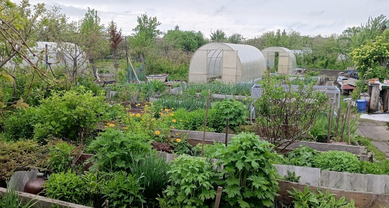 11 вещей, которые я перестала делать на даче — и наконец начала отдыхать вместо каторги