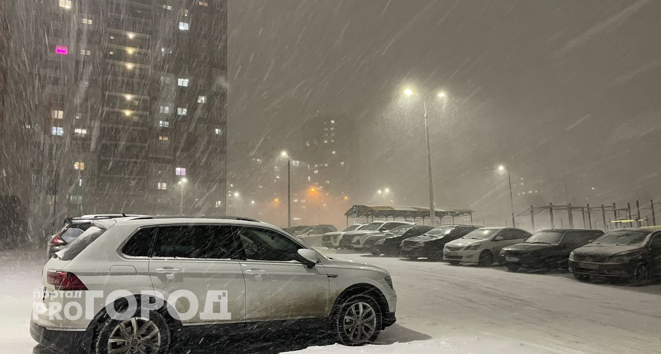 Народные приметы не обманывают: предстоящая зима удивит своей погодой