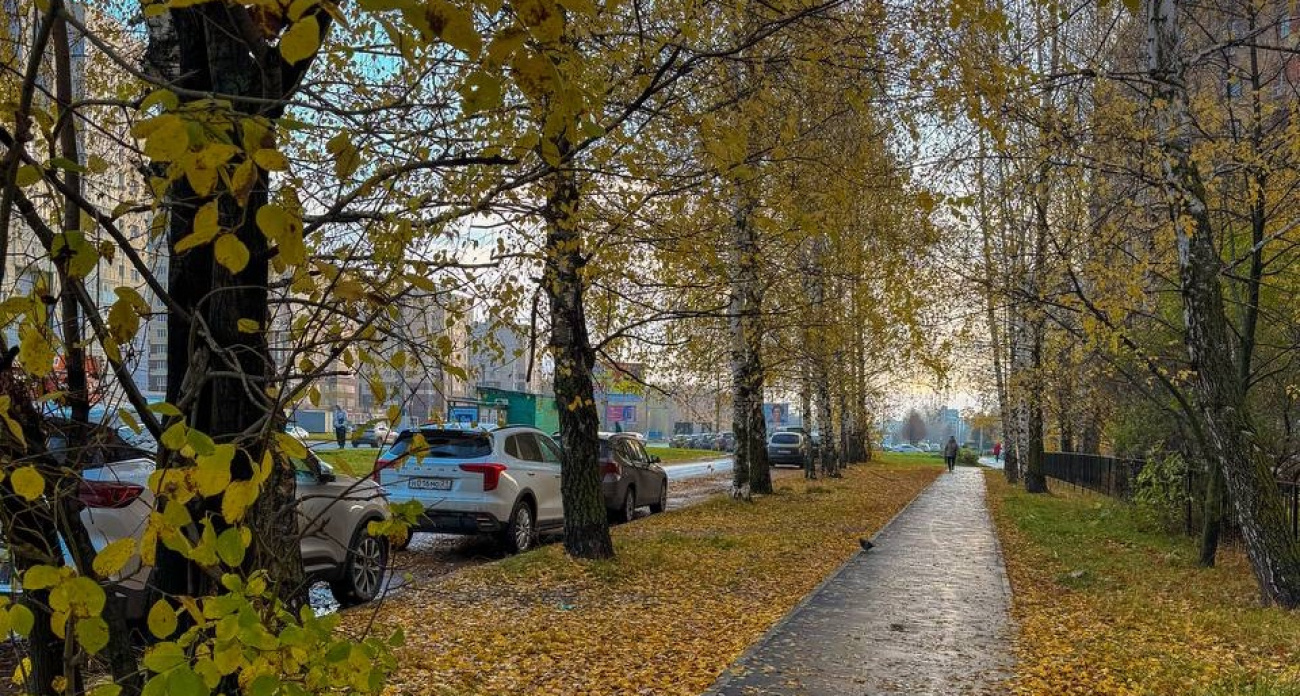 В Чувашии улучшается погода, но дожди вернутся во вторник