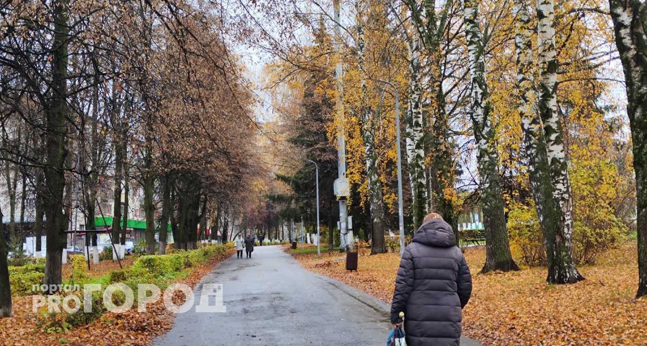 Синоптики рассказали о погоде в Чувашии на 26 октября