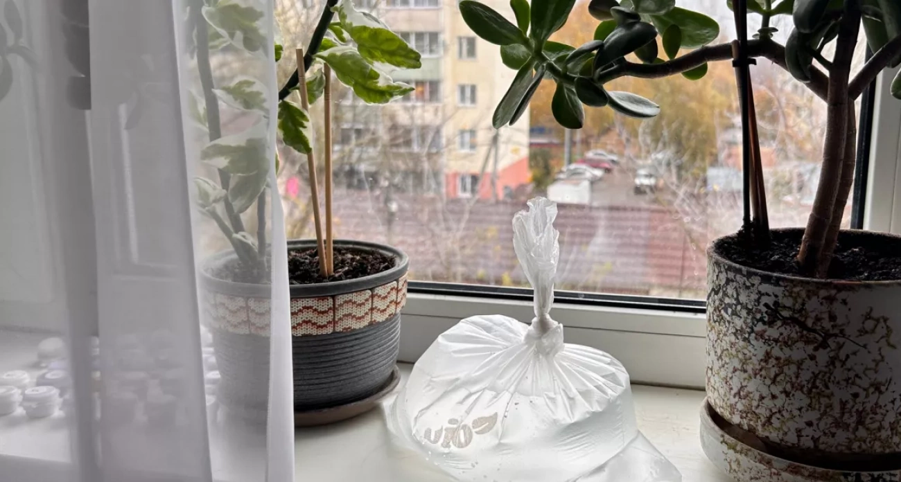 Соседка раньше посмеивалась, а сейчас не устает благодарить: обычный пакет с водой на подоконнике решит большую проблему