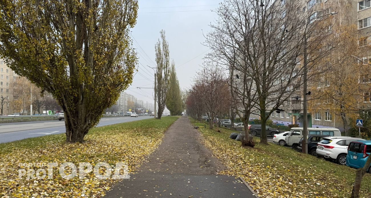 В Чувашии 30 октября ожидается облачная погода с возможным дождем