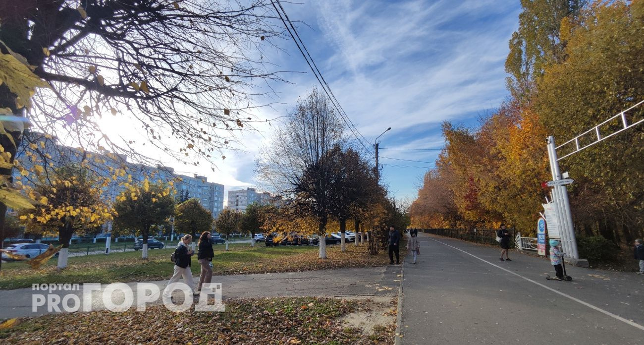 В Чувашии 2 ноября ожидается прохладная погода с небольшими осадками