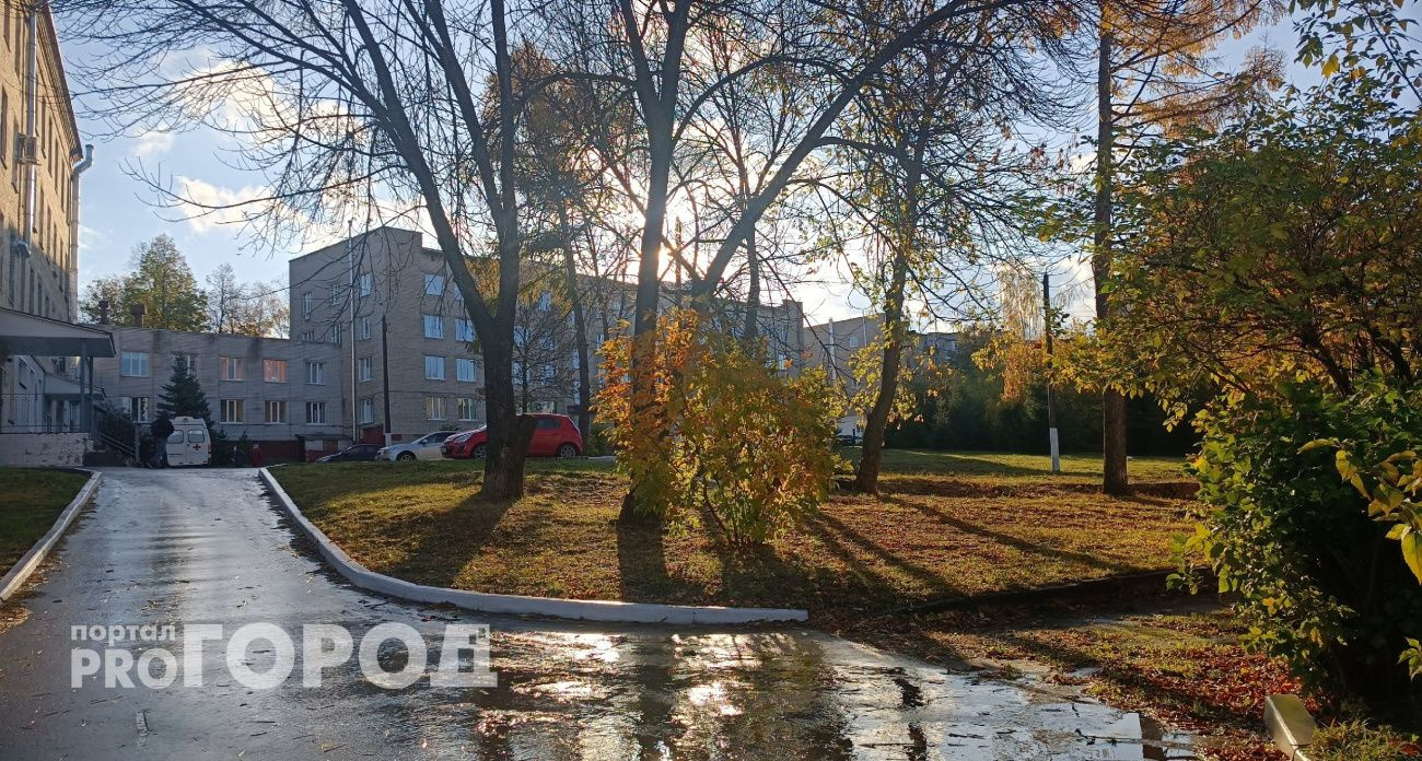 В Чувашии 7 ноября ожидается дождливая погода с температурой до +10°C