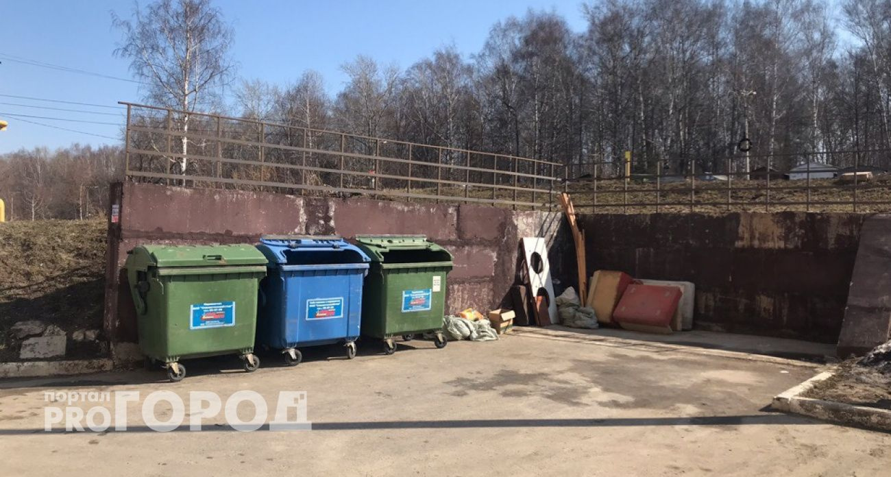 В России ввели штрафы до 250 тысяч рублей за складирование веток в контейнеры для мусора