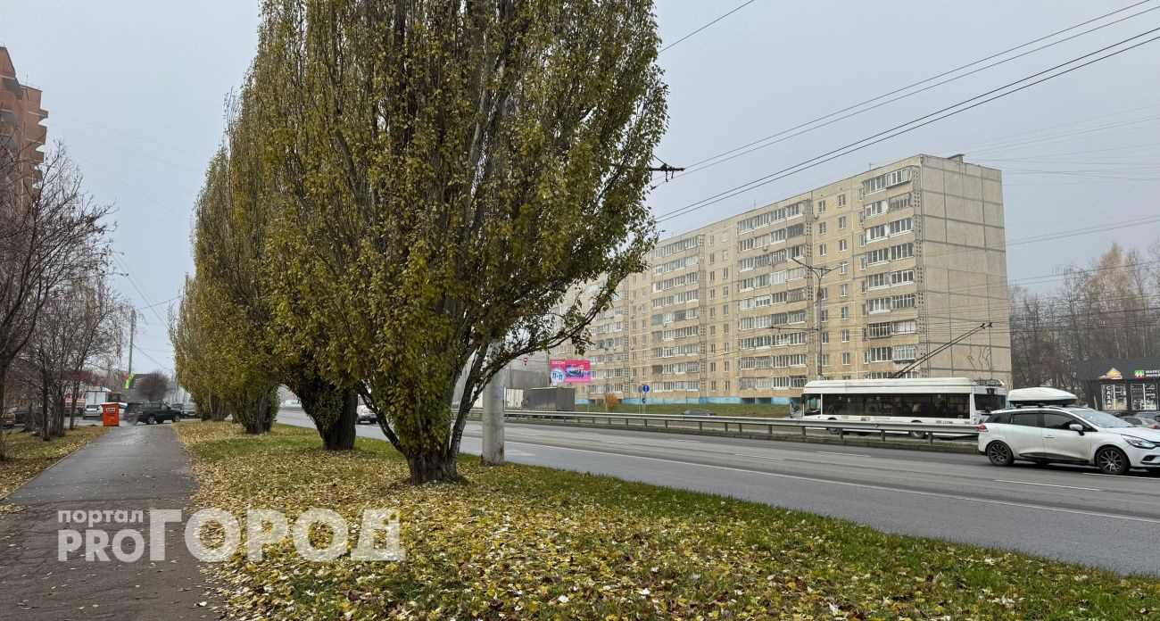 В Чувашии ожидаются дожди и первый снег на неделе