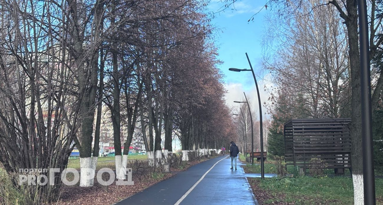 В Чувашии 12 ноября ожидается туман и желтый уровень опасности