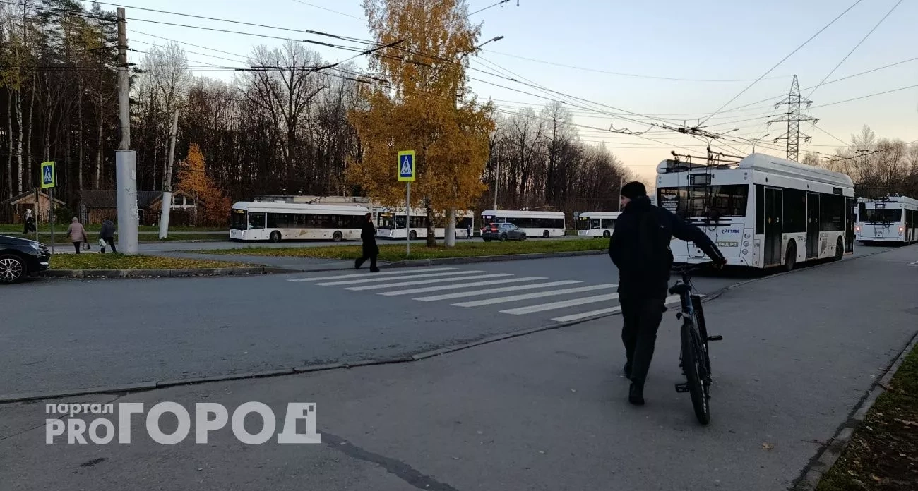 Верховный суд изменил правила на пешеходных переходах: теперь одной разметки недостаточно — водителям придется запомнить новые требования