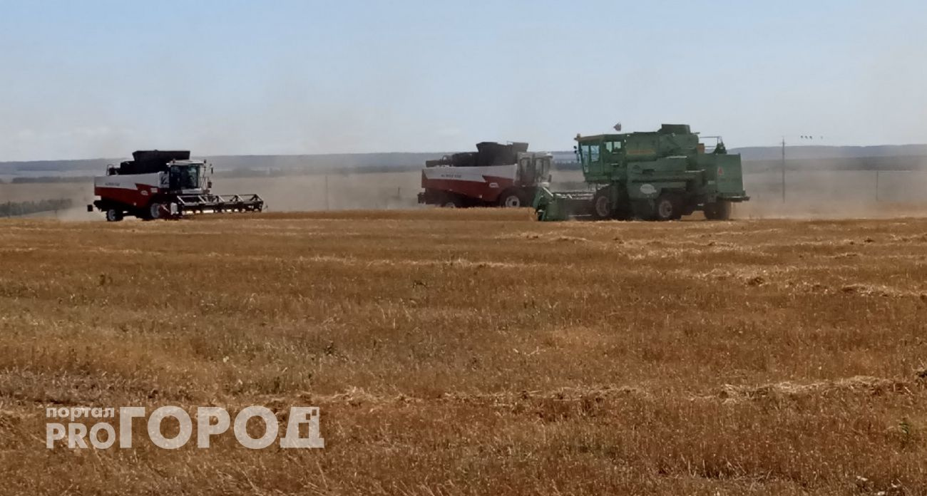 Чувашия расширяет экспорт продуктов питания в страны СНГ