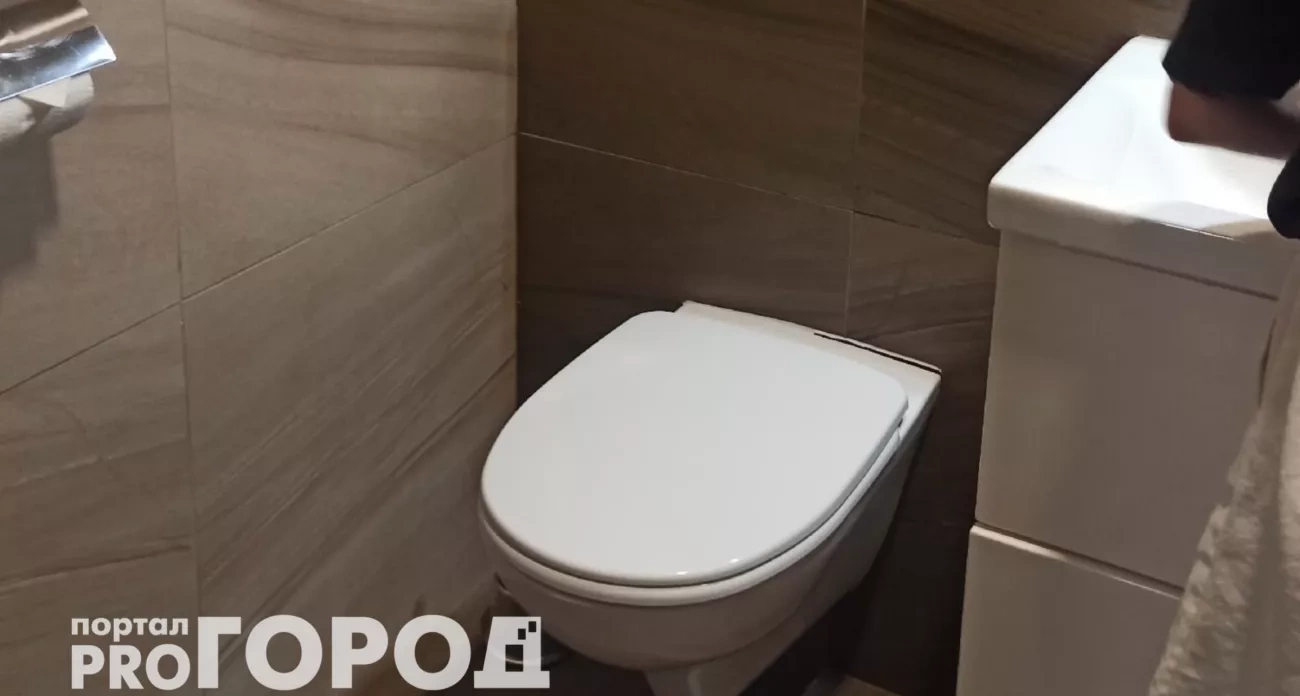 Теперь всегда закрываю крышку унитаза после того случая: объясняю, чем опасна открытая крышка