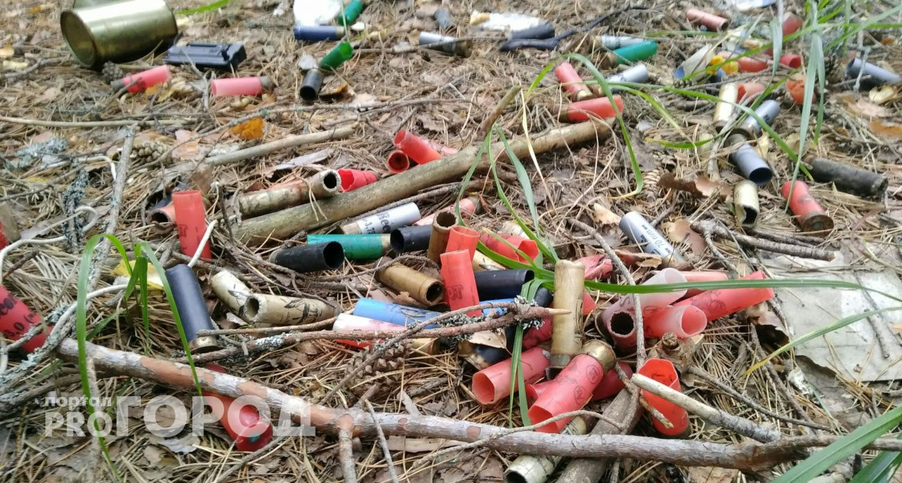 В Чувашии выставят на торги новые охотничьи угодья площадью 4900 гектаров