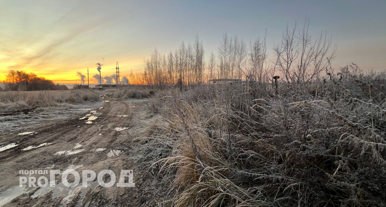 В Чувашии объявили желтый уровень опасности из-за сильного ветра и гололеда
