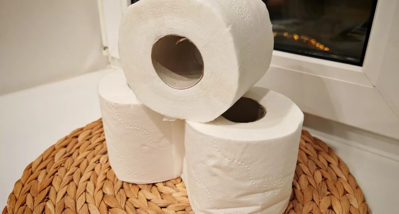 Европейцы и японцы уже 20 лет не покупают туалетную бумагу: альтернатива, о которой мы узнали слишком поздно
