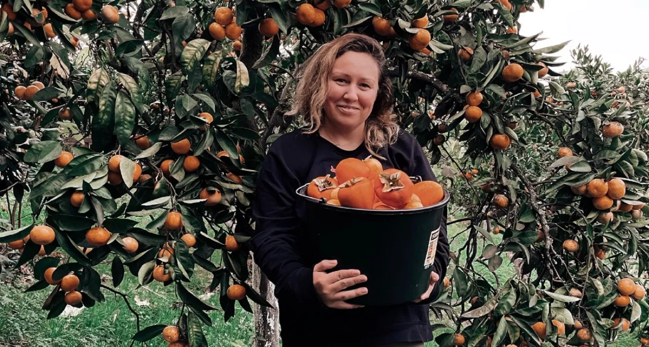 Поехала собирать мандарины и хурму в Абхазию: реальный заработок и о чём молчат работодатели