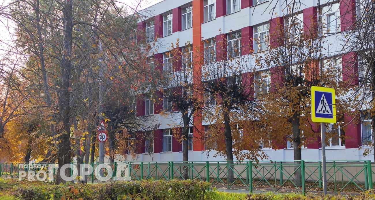 Учитель новочебоксарской гимназии получила звание Заслуженного учителя Чувашии