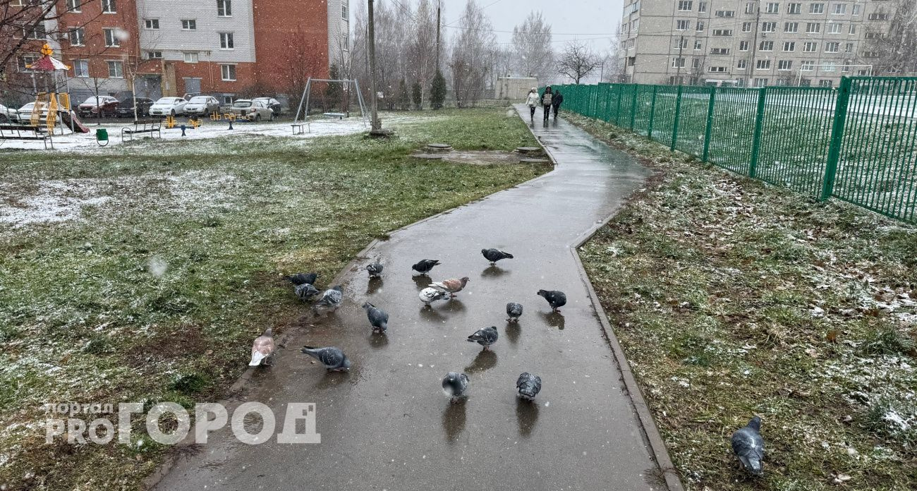 В Чувашии 28 ноября ожидаются дожди и возможен гололед