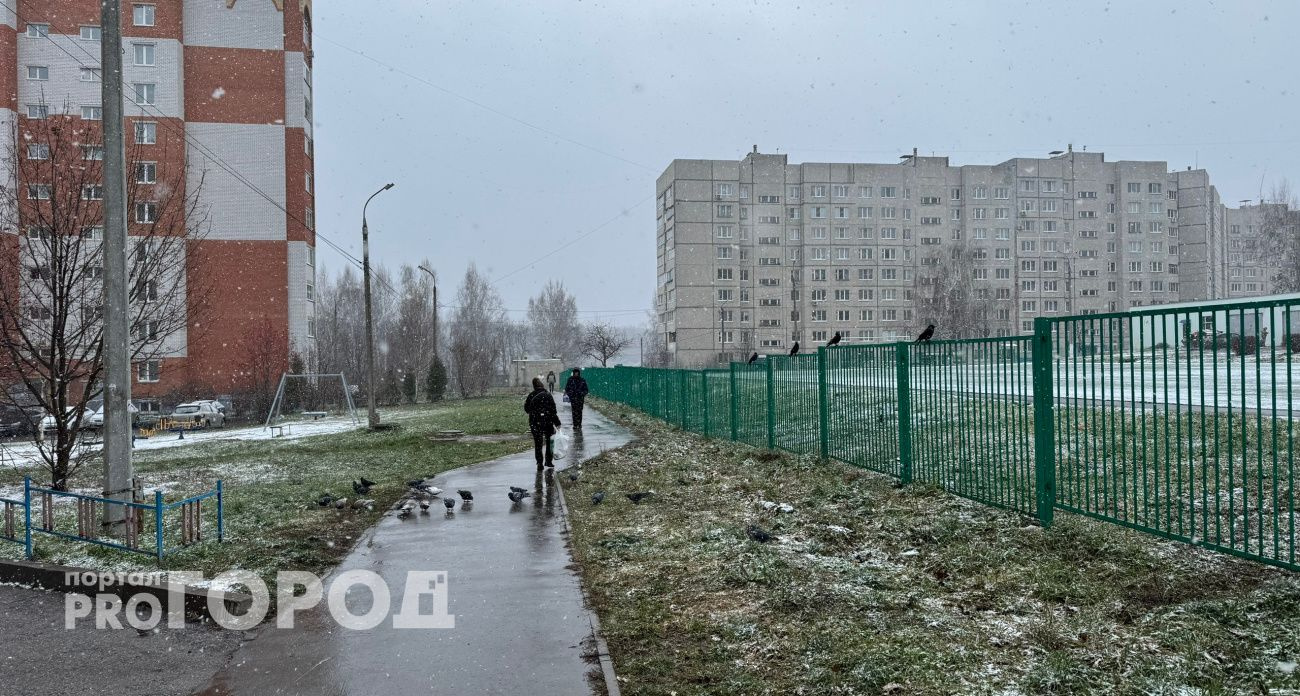 Жителям Чувашии напомнили об оплате налогов до 1 декабря